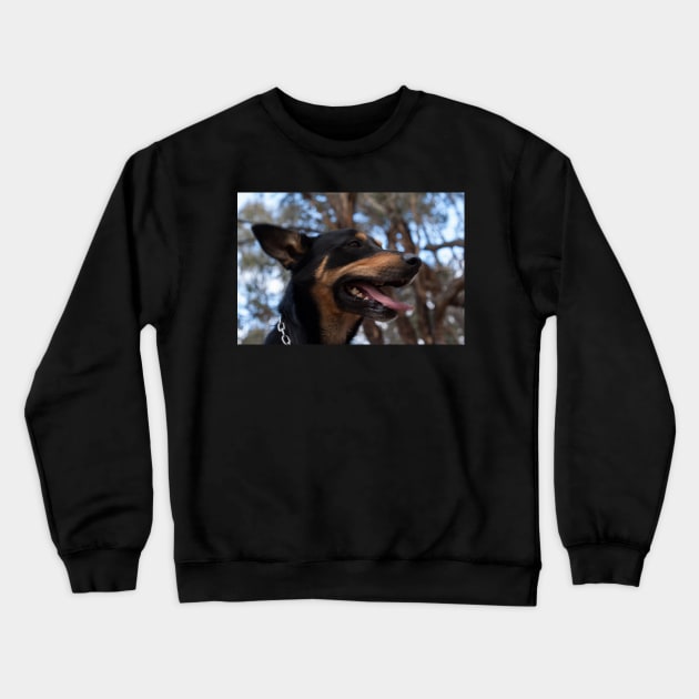 Max - Australian Kelpie Crewneck Sweatshirt by DeborahMcGrath